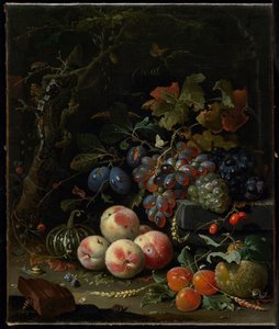 Stilleben med frugt, løv og insekter, ca. 1669